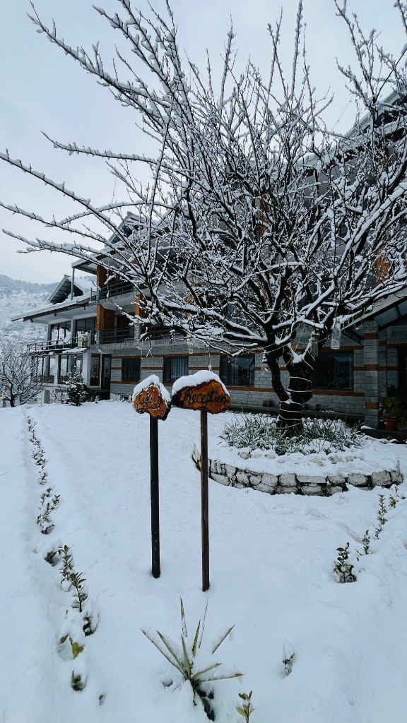 Snowy Garden & Signage